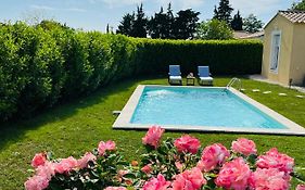 Un coin tropical en Provence !